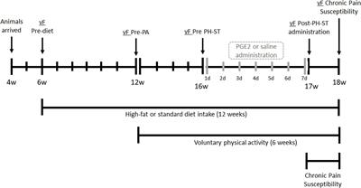 Physical Activity Induces Nucleus Accumbens Genes Expression Changes Preventing Chronic Pain Susceptibility Promoted by High-Fat Diet and Sedentary Behavior in Mice